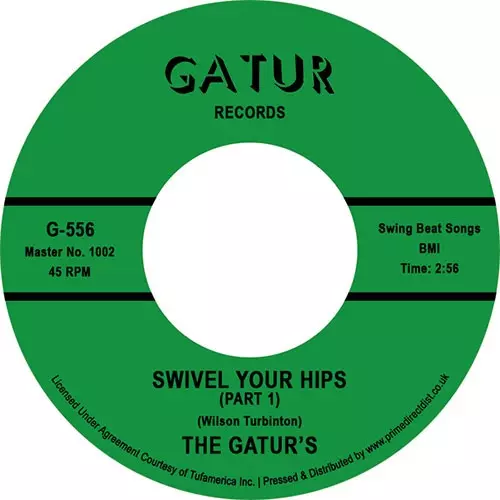 The Gators Wasted LP レコード The Gators Wasted LP レコード 洋楽