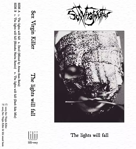 The lights will fall(2ND PRESS)/Sex Virgin Killer｜PUNK｜ディスク