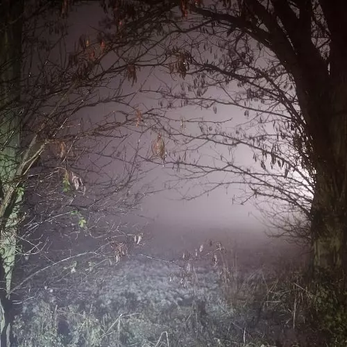 EARTH TRAX / CLOSER NOW (LP)