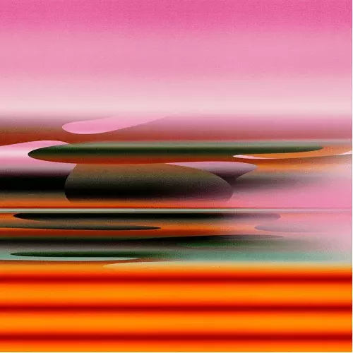 V.A. (030303) / VARIOUS V (LP)