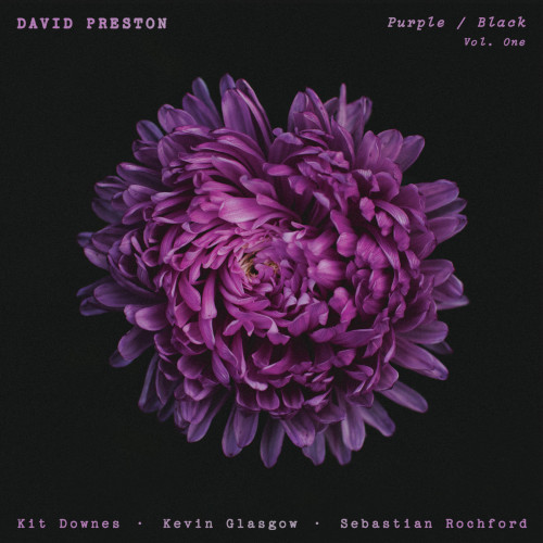 DAVID PRESTON / デイビット・プレストン / Purple / Black Vol. One
