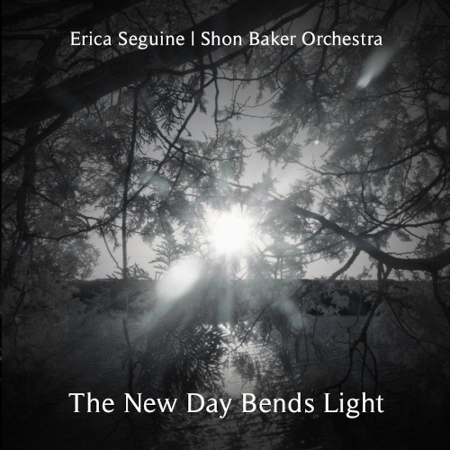 ERICA SEGUINE / New Day Bends Light