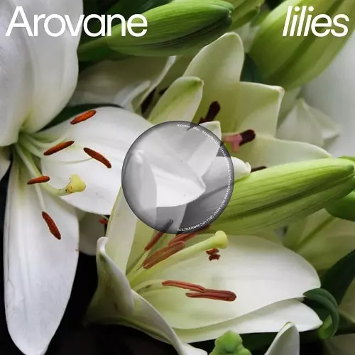 AROVANE / アロヴェイン / LILIES (LP)