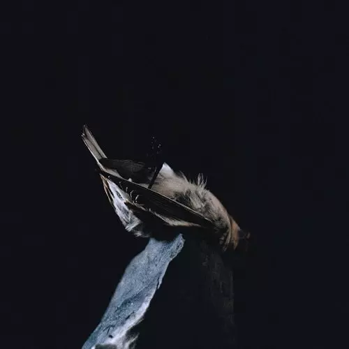 BLAZEJ MALINOWSKI / ボラジェ・マリノウスキ / ARE WE ALL ALONE OR JUST OVERWHELMED?