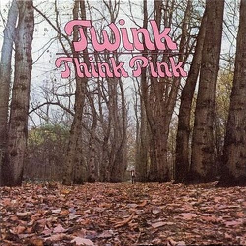 TWINK / トゥインク / THINK PINK (LP)