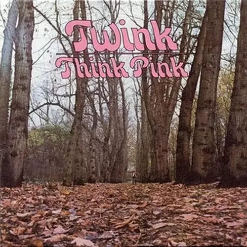 THINK PINK (LP)/TWINK/トゥインク/1970年作英国サイケの金字塔がLP