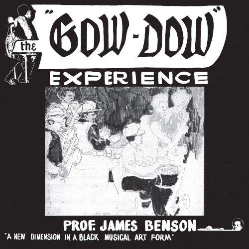 JAMES BENSON / ジェームス・ベンソン / Gow-Dow Experience (LP)