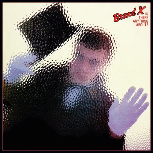 BRAND X / ブランド・エックス / IS THERE ANYTHING ABOUT?: LIMITED VINYL