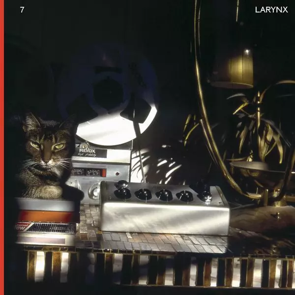 LARY 7 / LARYNX (2LP)