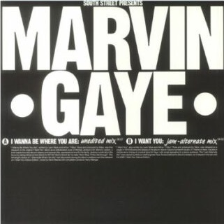 MARVIN GAYE / マーヴィン・ゲイ / I WANNA BE WHERE YOU ARE / I WANT YOU (12")