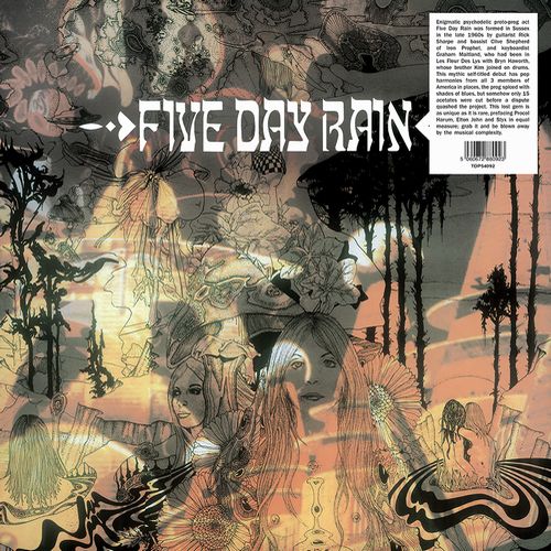 FIVE DAY RAIN / ファイヴ・デイ・レイン / FIVE DAY RAIN (LP)