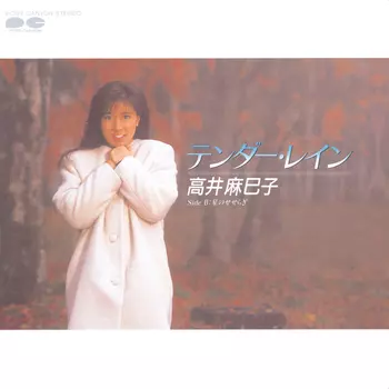 テンダーレイン おまとめ同梱 テンダー・レイン(LABEL ON DEMAND)/MAMIKO TAKAI/高井麻巳子｜日本の