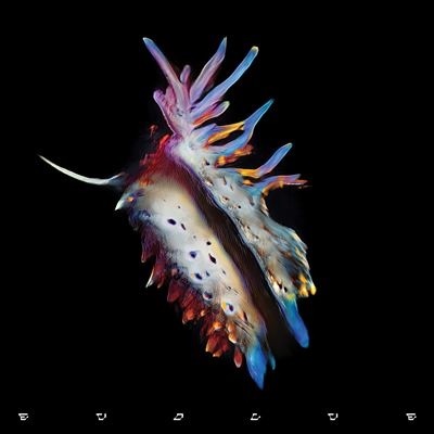 SUB FOCUS / EVOLVE (CD)