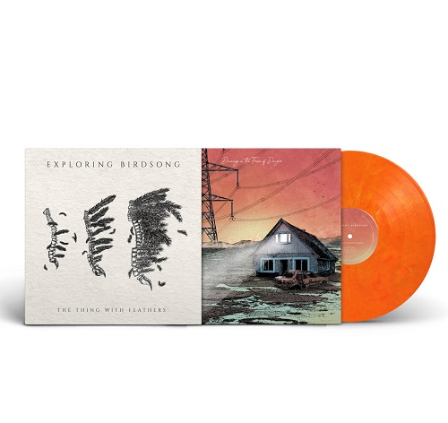 EXPLORING BIRDSONG / DANCING IN THE FACE OF DANGER / THE THING WITH FEATHERS: LIMITED TRANSPARENT ORANGE COLOR VINYL