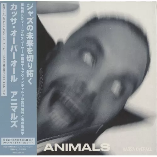 Kassa Overall レコード　LP Kassa Overall Live at Third Man Records LP : タワーレコード