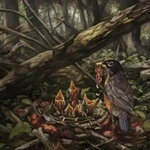 ACACIA STRAIN / STEP INTO THE LIGHT