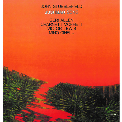 JOHN STUBBLEFIELD / ジョン・スタッブルフィールド / Bushman Song(LP/180g)