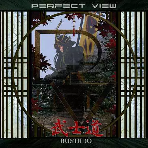 PERFECT VIEW / パーフェクト・ヴュー / BUSHIDO