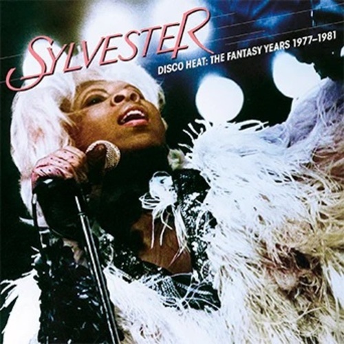 SYLVESTER / シルヴェスター / DISCO HEAT - FANTASTIC YERS 1977-1981 (2CD)
