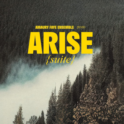 AMAURY FAYE / Arise (Suite)