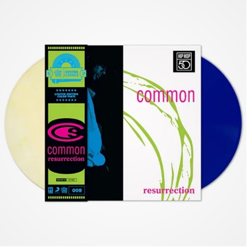 レアCOMMON SENSE/RESURRECTION INST/2LP!!!! 返品可 - locabrinq.com.br