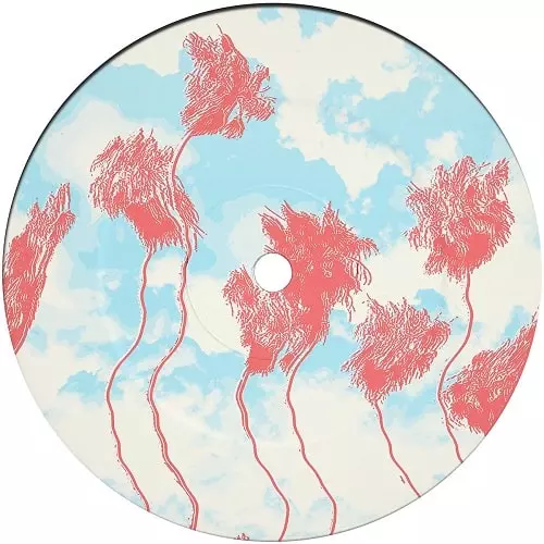HIDDEN SPHERES / ヒドゥン・スフェアズ / WAITING [CLEAR VINYL]