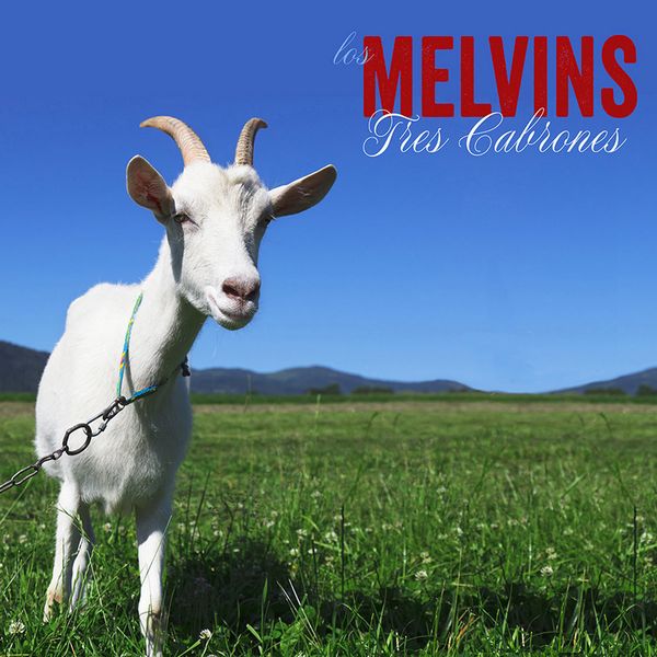MELVINS / メルヴィンズ / TRES CABRONES [VINYL]
