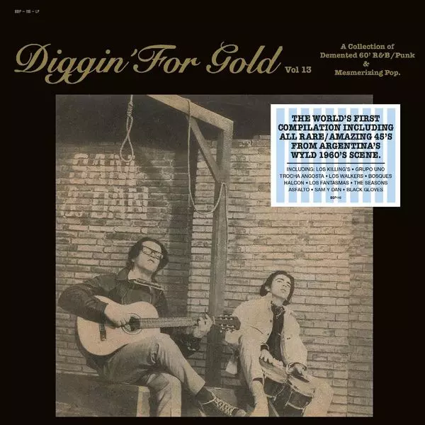 V.A. (DIGGIN' FOR GOLD) / DIGGIN' FOR GOLD VOL. 13 (VINYL)