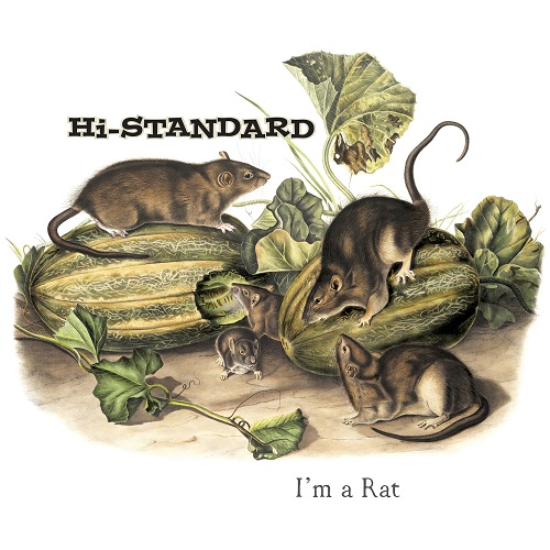 Hi-STANDARD / I'M A RAT (7
