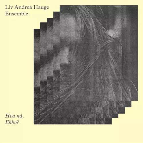 LIV ANDREA HAUGE / Hva na, Ekko? (2LP)