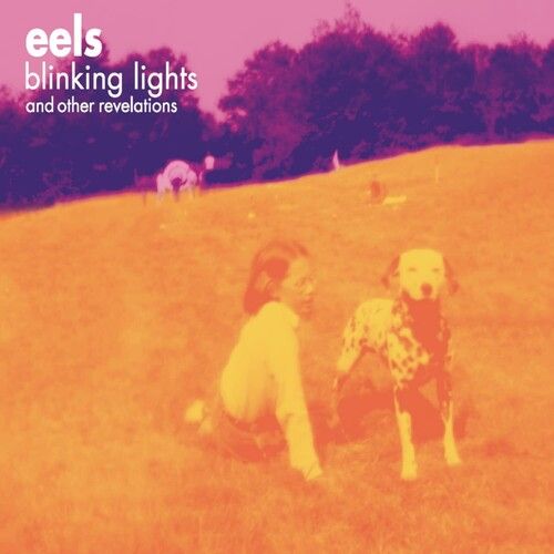 Eels - Daisies Of The Galaxyアナログレコード送料込み - 洋楽