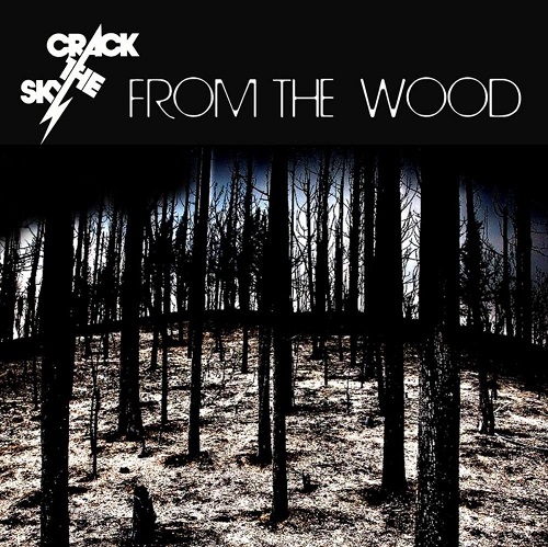 CRACK THE SKY / クラック・ザ・スカイ  / FROM THE WOOD