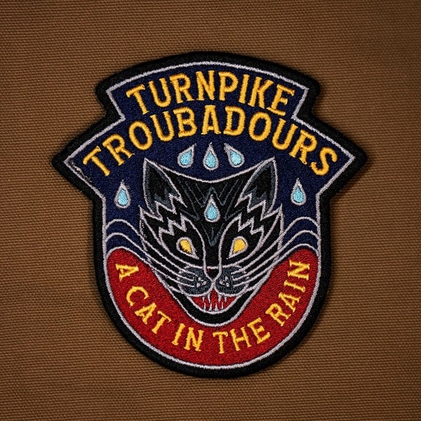 TURNPIKE TROUBADOURS / CAT IN THE RAIN (CD)