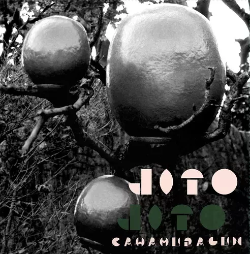 Kawamura Gun / かわむらぐん / じとじと(LP)