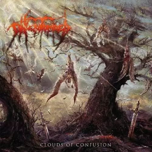 PHLEBOTOMIZED / CLOUDS OF CONFUSION