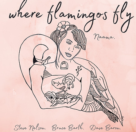 NAAMA GHEBER / ナーマ・ゲーバー / Where Flamingos Fly(CD-R)