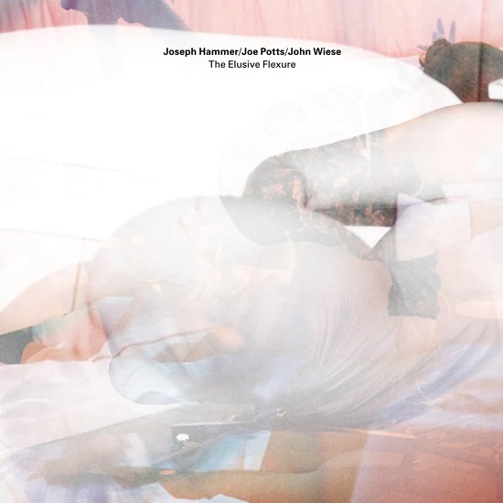 JOSEPH HAMMER / JOE POTTS / JOHN WIESE / THE ELUSIVE FLEXURE (2CD)