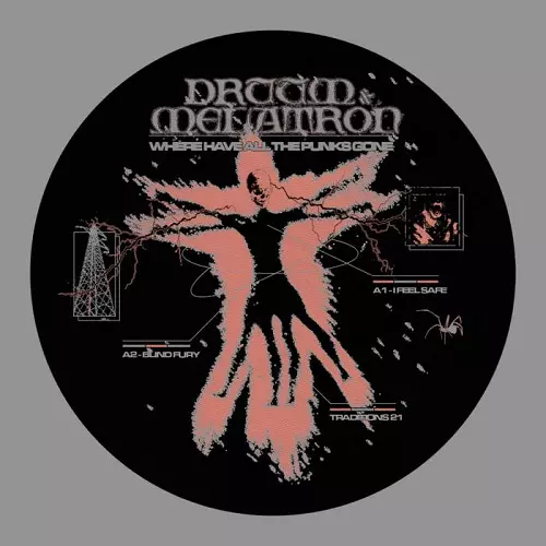 DRUUM & MELATRON / WHERE HAVE ALL THE PUNKS GONE