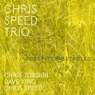 CHRIS SPEED / クリス・スピード / Despite Obstacles