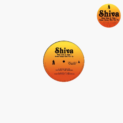 SHIVA(DISCO) / WHAT DOES IT TAKE (FEAT. LEON WARE) (12")