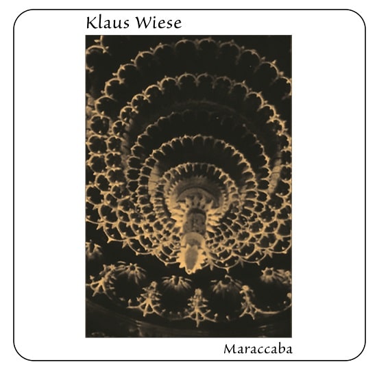ニューエイジ・ミュージック・シーンに影響を与えてきたドイツの音楽家/音響研究家 KLAUS WIESEの 1982年、1987年アルバムがCDで再発!