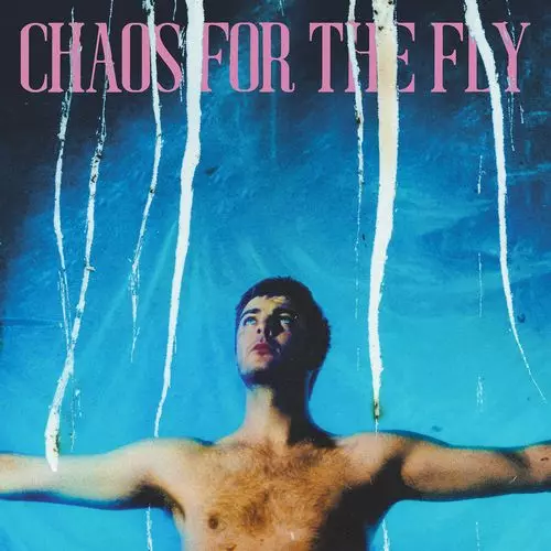 GRIAN CHATTEN / グリアン・チャッテン / CHAOS FOR THE FLY / ケイオス・フォー・ザ・フライ