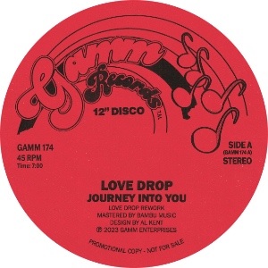 LOVE DROP / JOURNEY INTO YOU/BOOGIE DOWN