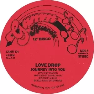 LOVE DROP / JOURNEY INTO YOU/BOOGIE DOWN