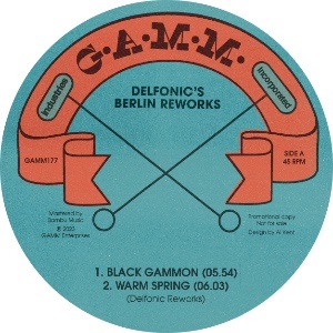 DELFONIC / BERLIN REWORKS