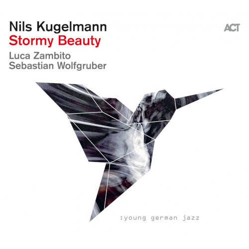 NILS KUGELMANN / ニルス・クーゲルマン / Stormy Beauty (LP/180g)