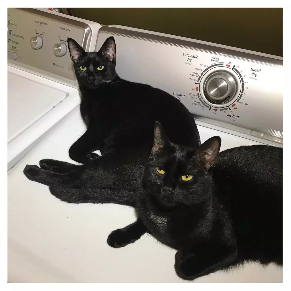 SAM PREKOP AND JOHN MCENTIRE / サム・プレコップ・アンド・ジョン・マッケンタイア / SONS OF (2LP - COLOURED)