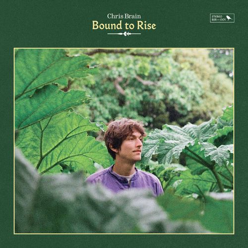 CHRIS BRAIN / クリス・ブレイン / BOUND TO RISE (CD)