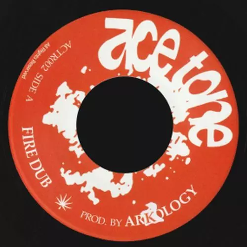 FIRE DUB/ARKOLOGY/Y2Kに録音されたARKOLOGYの未発表音源を7インチ