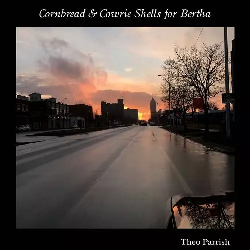 THEO PARRISH / セオ・パリッシュ / CORNBREAD & COWRIE SHELLS FOR BERTHA (2LP VINYL)
